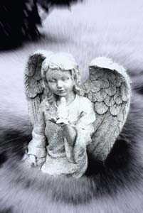 Snow Angel